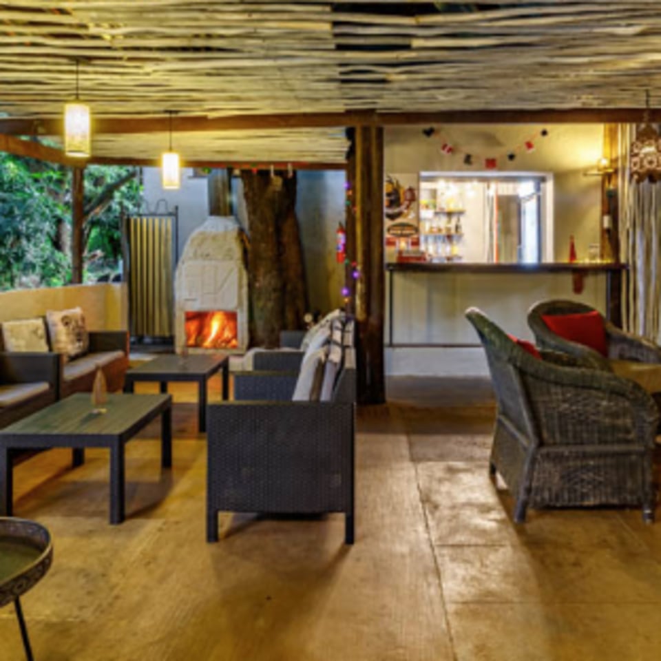 Gecko Lodge